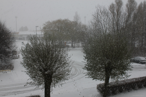 20101127_001.JPG