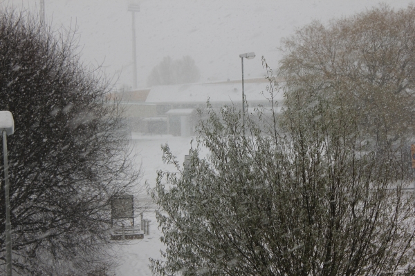 20101127_002.JPG