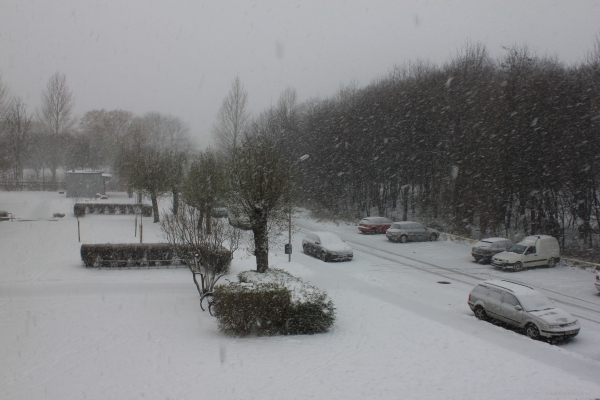 20101127_005.JPG