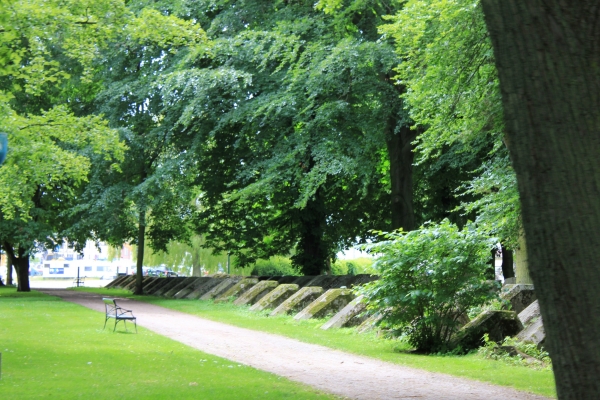 Blandat_025.JPG