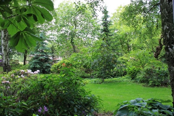 Blandat_044.JPG