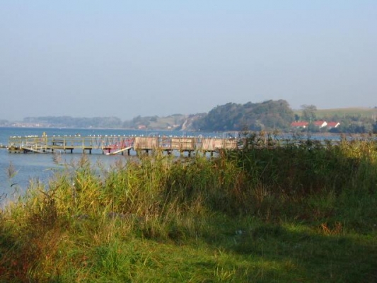 IMG_0809.JPG