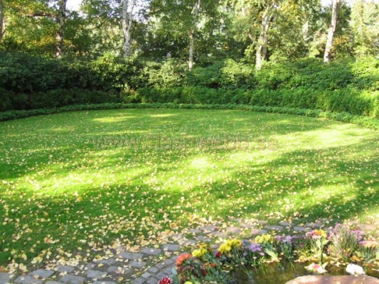 IMG_0824.JPG