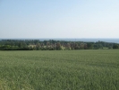 2007-07-12_17_34_14_JPG.jpg