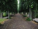 2007-07-16_13_41_31_JPG.jpg