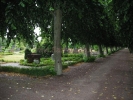 2007-07-16_13_41_51_JPG.jpg