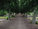 2007-07-16_13_42_09_JPG.jpg