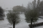20101127_001.JPG