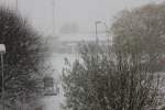 20101127_002.JPG