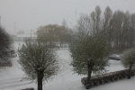 20101127_003.JPG