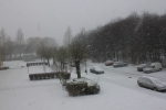20101127_004.JPG