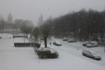 20101127_005.JPG