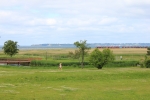Blandat_012.JPG