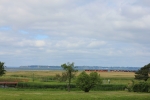 Blandat_013.JPG