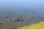 Hometown_017.JPG