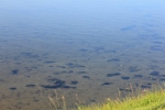 Hometown_018.JPG
