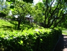 IMG_0175.JPG
