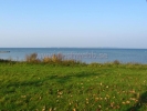 IMG_0806.JPG