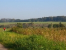 IMG_0810.JPG