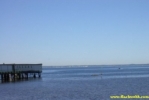 PICT0410.JPG