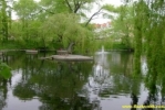 PICT0435.JPG
