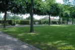 PICT0666.jpg