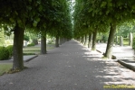 PICT0668.jpg