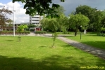 PICT0688.jpg