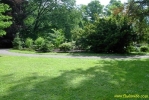 PICT0690.jpg