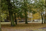 PICT1804.jpg