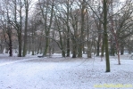 PICT2122.jpg