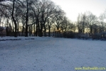 PICT2143.jpg