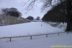 PICT2258.jpg
