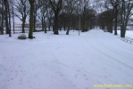 PICT2260.jpg