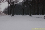 PICT2269.jpg