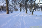 PICT2332.jpg
