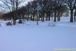 PICT2337.jpg