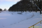 PICT2338.jpg