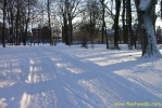PICT2339.jpg