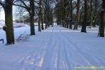 PICT2341.jpg