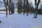 PICT2348.jpg