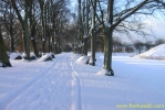 PICT2351.jpg