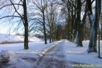 PICT2354.jpg