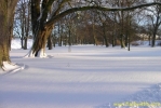 PICT2361.jpg