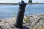 PICT3552.jpg