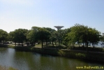 PICT3588.jpg