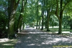 PICT3605.jpg