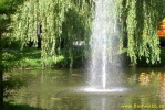 PICT3621.jpg