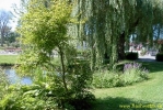 PICT3624.jpg