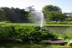 PICT3625.jpg